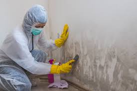 Hallsville, MO Mold Remediation Company